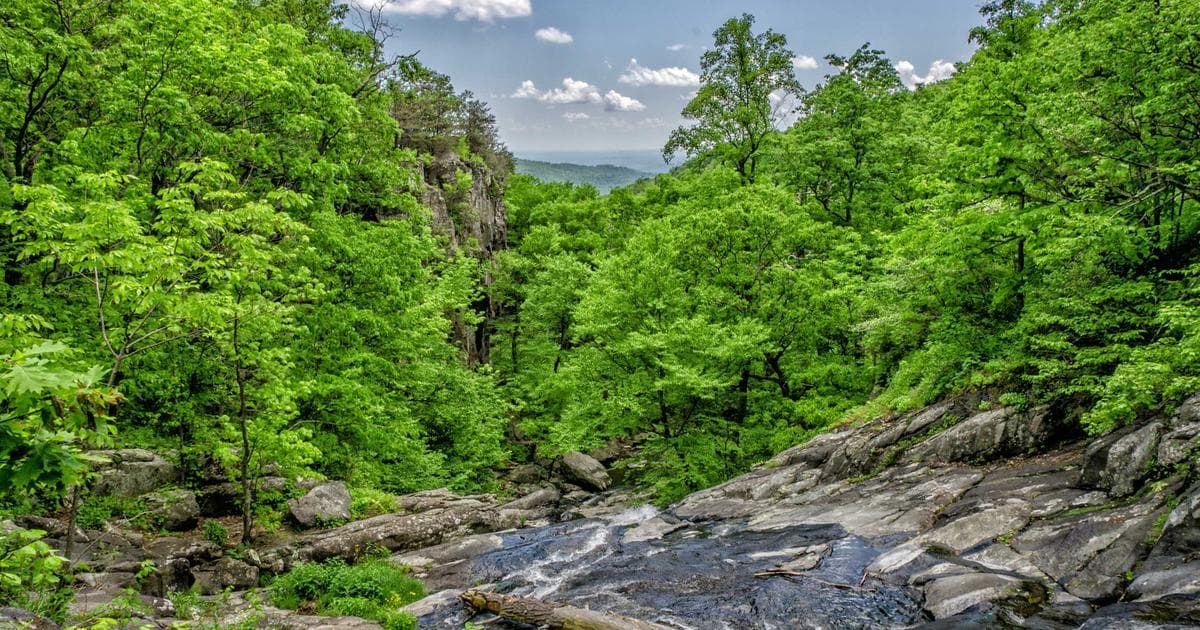 Our 3D Wind Device: A Breakthrough in Renewable Energy