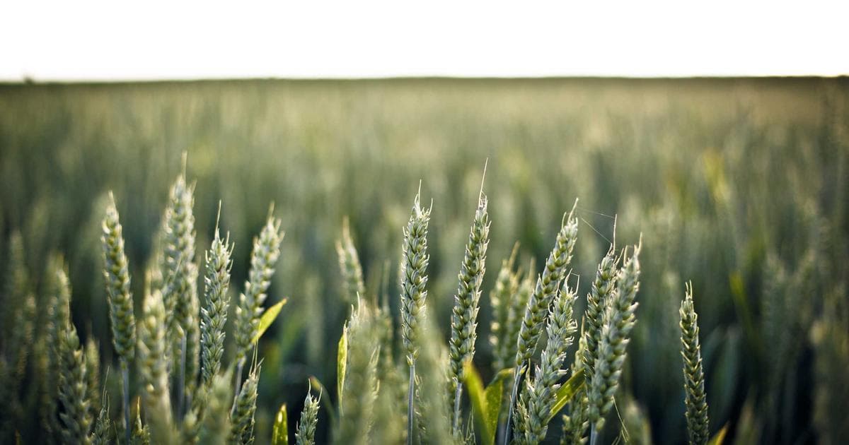 Energy Storage and Blockchain: Keeping the Grid in Sync